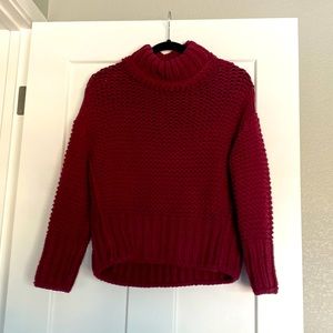 Thick Cable Knit Turtle Neck